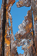 Patina 3